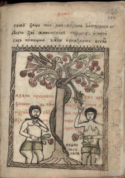 Грехопадението, Поп Пунчов Сборник от кр. на ХVІІІ в. (НБКМ 693)